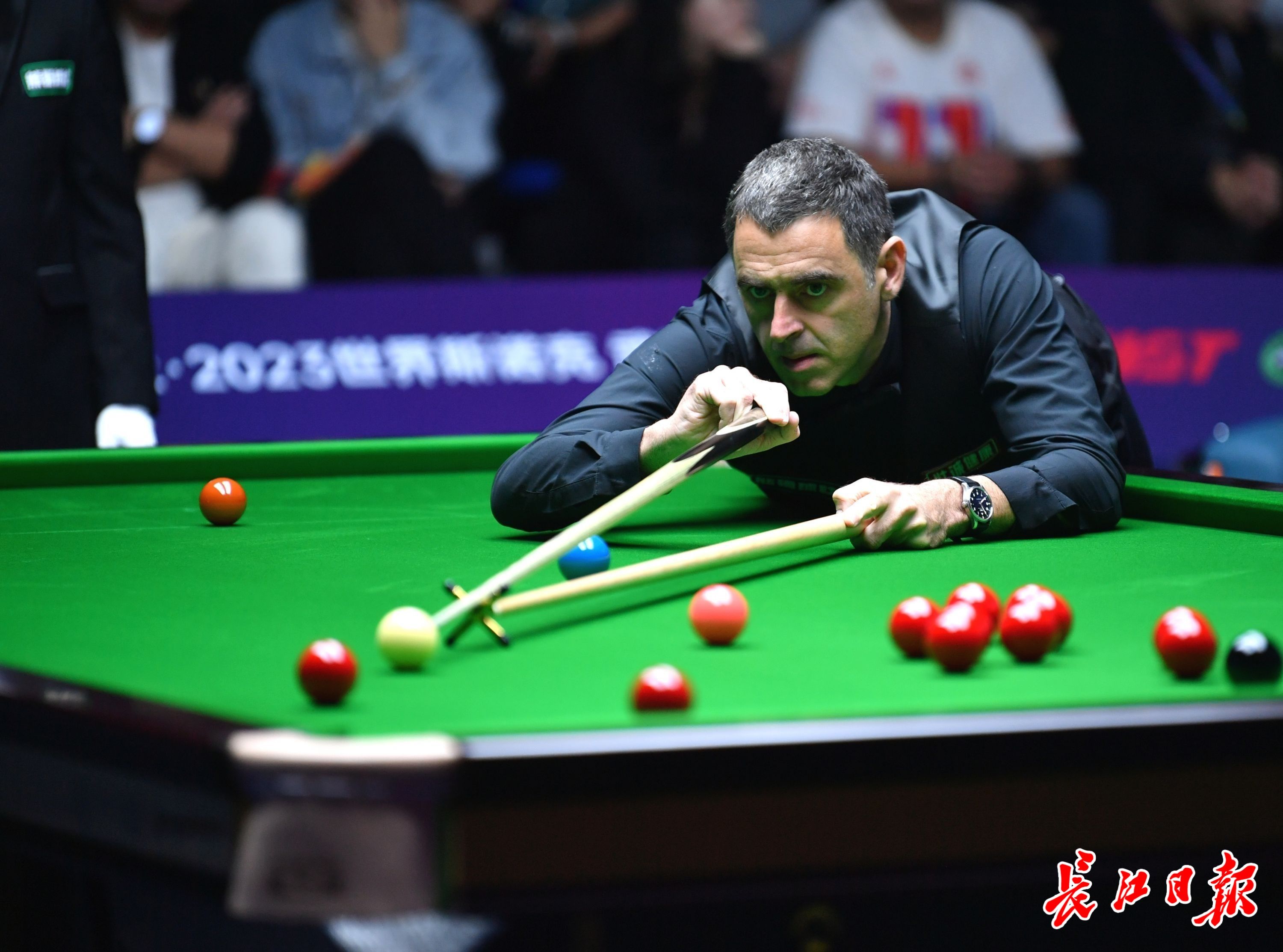 以往案例显 以往案例显